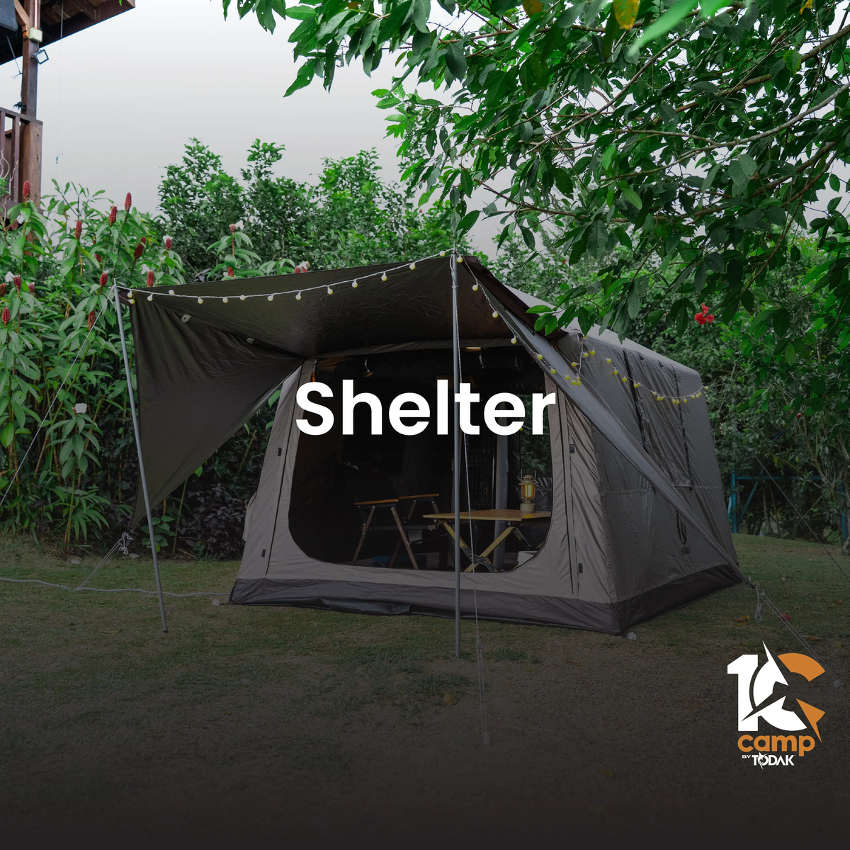 SHELTER