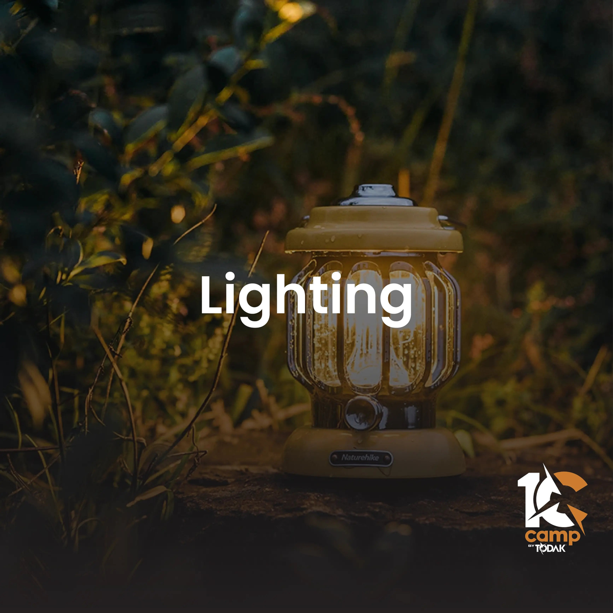 LIGHTING